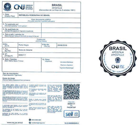 Tradução de Documentos nos Estados Unidos